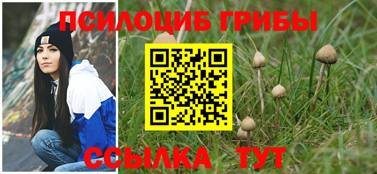 Переславль-Залесский  Псилоцибиновые грибы MAGIC MUSHROOMS  Вход с VPN  Галлюциногенные грибы Cubensis 